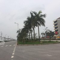 Bán Đất Liền Kề 91M2 - 100M2 - 102M2 Tại New City Phố Nối