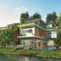 Chuyên Mua Bán Chuyển Nhượng Dự Án Ecopark Quỹ Thấp Tầng, Liền Kề, Shophouse, Biệt Thự. Giá Tốt