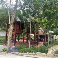 Bán hoặc cho thuê khu Resort nhà vườn nghỉ dưỡng tại xã Tiến Xuân, Thạch Thất, Hà Nội.