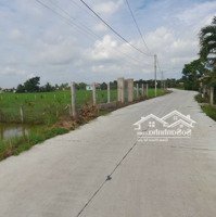 267M2 Đất Lúa Chuyển Thổ, 6X 35M, Kdc Bình Trinh, 255 Tr