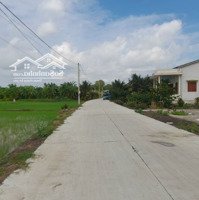 267M2 Đất Lúa Chuyển Thổ, 6X 35M, Kdc Bình Trinh, 255 Tr