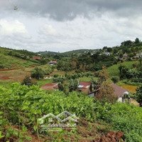 Bán Nhà Vườn 2339M2, Thế Đất Dương, Veiw Thoáng Đẹp. Gần Trung Tâm Tp. Bảo Lộc