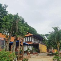 Bán Rẻ Siêu Phẩm Resort Nghỉ Dưỡng Rộng 6.200M2 Cực Đẹp Như Đà Lạt, Ngay Đường Nhựa Dân Cư