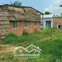 Bán Gấp 2000M Đất Thuôc Ấp Huệ Sanh, Long Đức, Trà Vinh