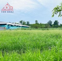 Bán 4.400M2 Đất 3 Mặt Tiền Ngang Bám Đường 58M Xã Hưng Lộc. Huyện Thống Nhất