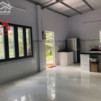 S92 Bán Đất Vườn Sầu Riêng Xã Long Giao Huyện Cẩm Mỹ Đồng Nai Diện Tích 16400M2 Giá Bán 1,2 Tỷ