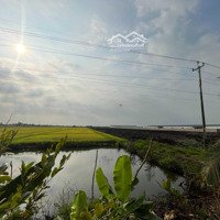 18 Công Đất Lúa, Cạnh Công Ty Bright Sunshine, Ql62