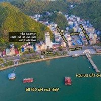 Siêu Phẩm Có 102 200M2 Ngang 9,5M Mặt Đường Cát Bà View Triệu Đô Giá Chỉ 32 Tỷ