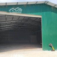 Cho Thuê Kho, Xưởng, Tổng Diện Tích 700M2, Trong Đó Có Nhà Kho Diện Tích 350M2