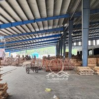 Cần Bán Xưởng Nhà Máy Chế Biến Gỗ Tại Chơn Thành Bình Phước