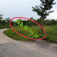 Bán đất phân lô tại Đồng tâm, Vĩnh yên, Vĩnh Phúc. DT 169m2 giá 1.85 tỷ