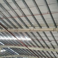 Cho Thuê Kho Xưởng Đất 2,2Ha Xưởng 12500M2 Pccc Tự Động Điện 3 Pha Trạm Cân 80 Tấn Xưởng Cao Thoáng