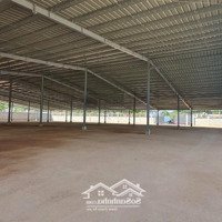 Kho 4000M2 Cần Cho Thuê, Một Sp Hot Cho Thuê Rẻ Hơn Thị Trường 30% Còn Trong Tình Trạng Mới 100%