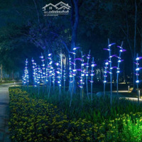 Cho Thuê Căn Hộ Home Stay Chung Cư Sol Forest Ecopark