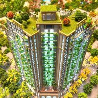 Bán Căn Hộ Chung Cư Eco Central Park Vinh Nghệ An Giá Hơn 900 Triệu