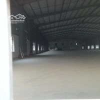 Cần Cho Thuê Xưởng Sản Xuất Diện Tích 2000M2, 4000M2 Đến 10000M2 Tại Thái Bình