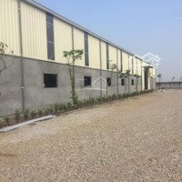 Cho Thuê 4000M2 Xưởng Mới Huyện Thái Thụy, Thái Bình