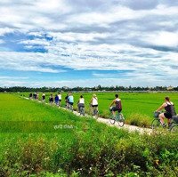 Cơ Hội Đầu Tư Đất Sổ Đỏ Lâu Dài Tại Cẩm Thanh - Thành Phố Hội An