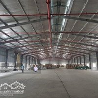 Bán Đất Làm Nhà Xưởng 330M2 Ngay Ql 5, Ql 10 - Mặt Tiền 15M - Vị Trí Đẹp - Giá Cực Ngon