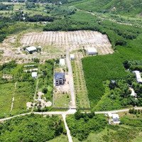 Bán Nhà Vườn Trang Trại Có Sẵn Biệt Thự Rộng 8 Hecta Hòa Ninh Có 770M2 Đất Ở