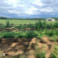 Cần Cho Thuê Đất Ở, Trang Trại Thuộc Châu Thành Tiền Giang