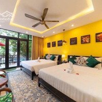 Định Cư Đức Bán Lại Căn Homestay Hội An 3 Tầng 5 Phòng Ngủchỉ 2Ty9X, Sổ Đỏ, Rẻ Hơn 1 Tỷ