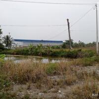 Chuyển nhượng 3.4Ha đất công nghiệp tỉnh Hải Dương đã đăng ký nghành may mặc