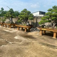 Nhà Vườn Thị Trấn Cần Giuộc. Diện Tích Gần 2600M2. Mặt Tiền Đường Nhựa. View Sông Thoáng Mát, Shr