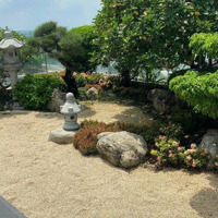 Quận 9- Phước Long B: Bán Căn Hộ Chung Cư Flora Fuji Gần Global City & Nút Giao An Phú