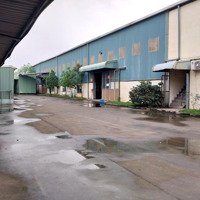 1500M2 Xưởng Tại Lưu Kiếm Thuỷ Nguyên. Pccc Văn Phòng Nhà Ăn Khu Vệ Sinh