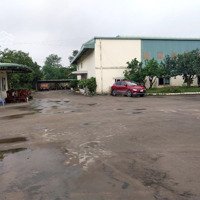 1500M2 Xưởng Tại Lưu Kiếm Thuỷ Nguyên. Pccc Văn Phòng Nhà Ăn Khu Vệ Sinh