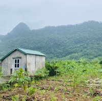 Nằm Cách Nút Giao Cao Tốc Hà Nội - Mộc Châu 500M. Có View Núi Đá Cực Kỳ Đẹp