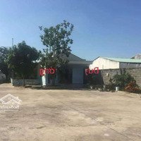 Kho Xưởngmặt Tiền(6729M²) Đức Hoà, Long An