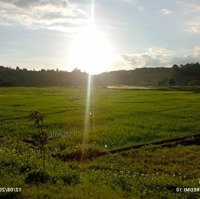 Đất Trang Trại Nghỉ Dưỡng Ở Đức Trọng, Lâm Đồng