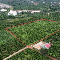 Em Cần Tiền Về Quê Nên Muốn Bán Gấp 1,3Ha(13000 M2) Đất Đã Lên Sẵn 800M2 Thổ Cư