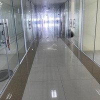 Cho Thuê Văn Phòng Hạng A Tại Hải Phòng - Thành Đạt 1 Building Lê Thánh Tông Tiêu Chuẩn