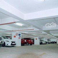 Cho Thuê Văn Phòng Hạng A Tại Hải Phòng - Thành Đạt 1 Building Lê Thánh Tông Tiêu Chuẩn