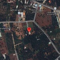 Bán Đất Thổ Vườn Xã Bảo Quang, Long Khánh 7776M2 Vuông Vức Cực Đẹp - Giá Rẻ Hơn Thị Trường, Full Sổ