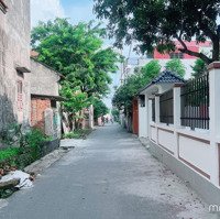 Cần Bán Biệt Thự Nhà Vườn Tại Tân Phong - Bình Xuyên - Vĩnh Phúc