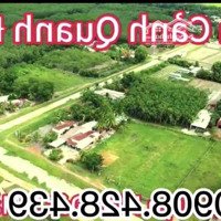 Bán Đất Thỏi Cứ Giá Rẻ