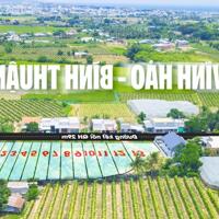 Đất Biển sổ đỏ thổ cư rẻ nhất Bình Thuận chỉ 6tr/m2 - Sổ đỏ đất ở 100%