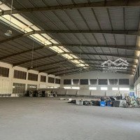 Cho Thuê Kho Xưởng 1400M2 Tại Đường Lê Thị Bạch Cát, P. 11, Quận 11