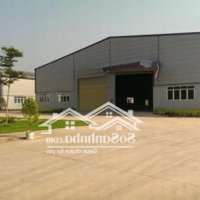 Cho Thuê Kho Xưởng 1400M2 Tại Đường Lê Thị Bạch Cát, P. 11, Quận 11