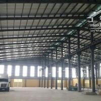 Cho thuê kho mới đẹp Vũ Phạm Hàm, Trung Hòa: 250m2