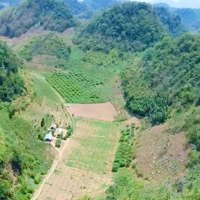 Cần Bán 5Ha Đất Hnk Tại Phiêng Luông, Mộc Châu, Sơn La