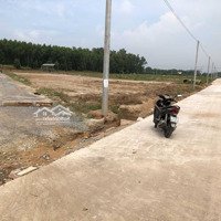 Bán Đất 500M2 12,5X50M, Giá Bán 1Tỷ8, Tân Phước Phú Mỹ 0898.4949.48