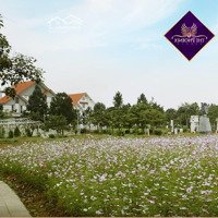 Bán Đất Nền 200M2 Biệt Thự Song Lập Dự Án The Phoenix Garden, Đan Phượng, Tp Hà Nội