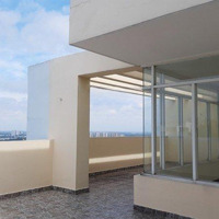 Cần Bán Gấp Penthouse Căn Hộ Chung Cư Giai Việt Đường Tạ Quang Bửu, Quận 8