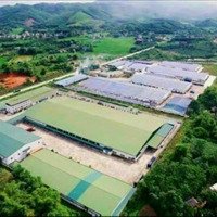 Bán 3,6Ha Đất Kcn Long Bình An, Tuyên Quang. Xây Dựng Được Ngay. Liên Hệ: 0867 818 838