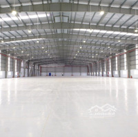 Cho Thuê Kho Xưởng 2800M2 - 13.000M2 Trong Kcx Tân Thuận, Quận 7, Tp. Hcm. Giá 90K/M2